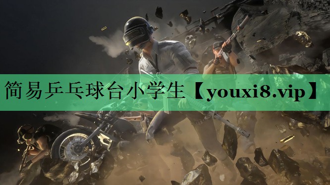 简易乒乓球台小学生